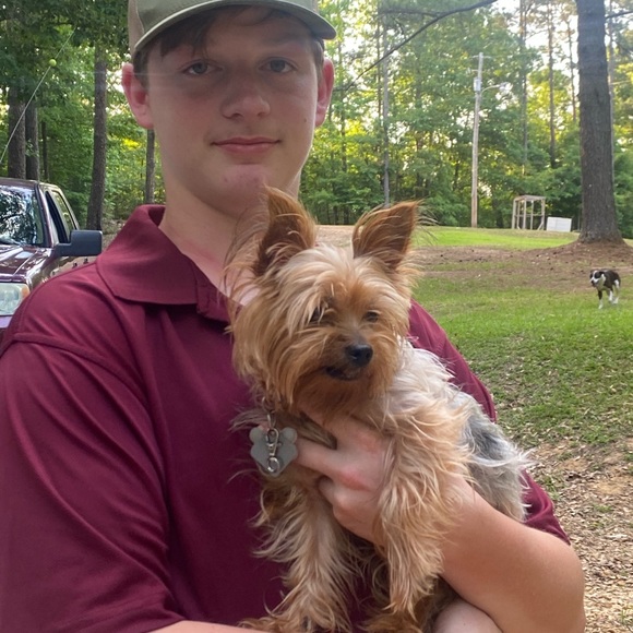 Meet your Posher, Chloe - Picture 14 of 15